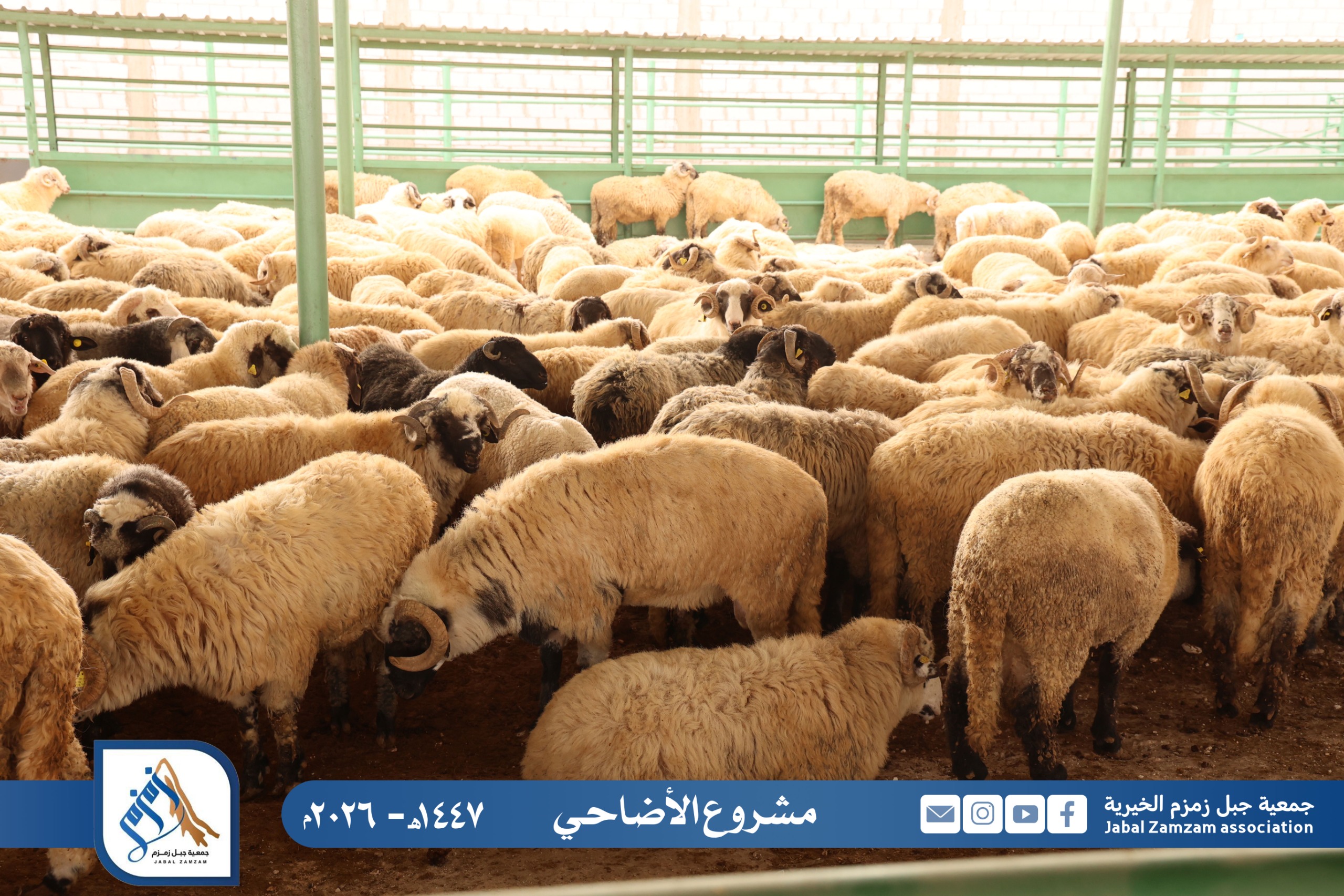 اطعام الجمعة الخيرية لكفالة اليتيم